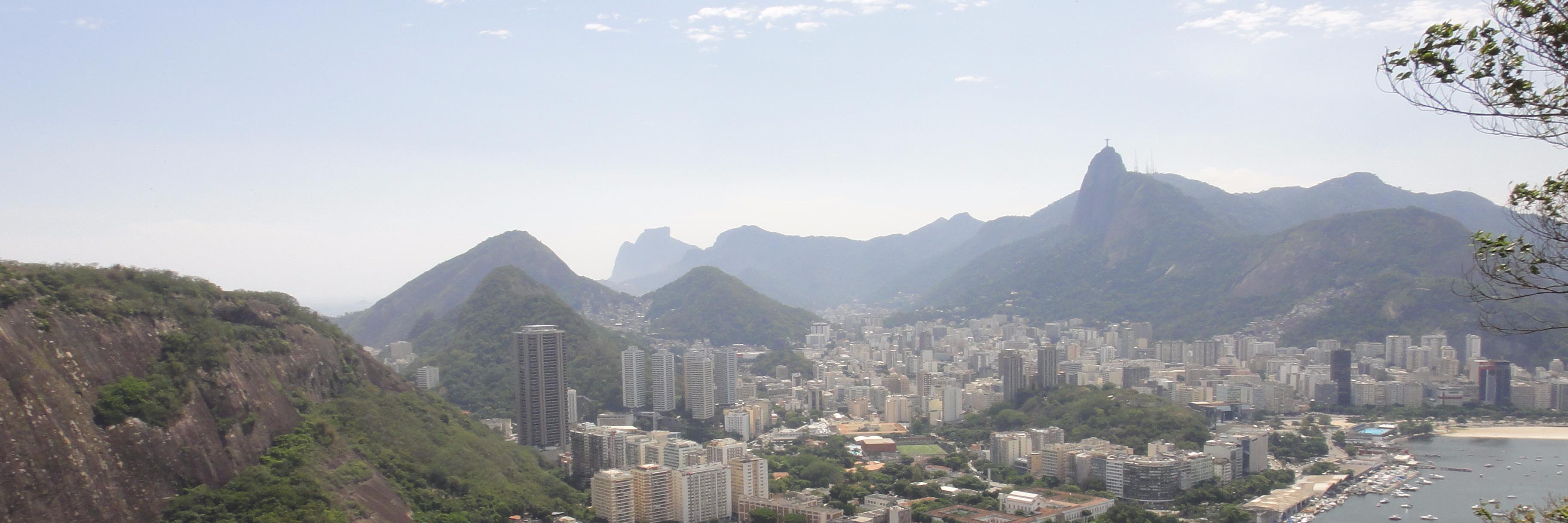 WeMedStudents/Renata banner