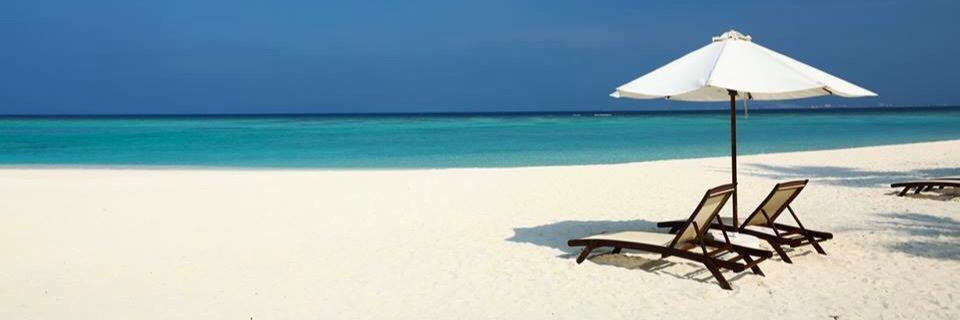 Lora_Cappelli's profile banner image