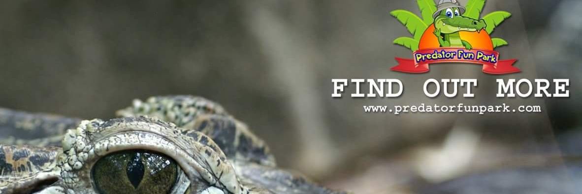 predatorfunpark's profile banner image