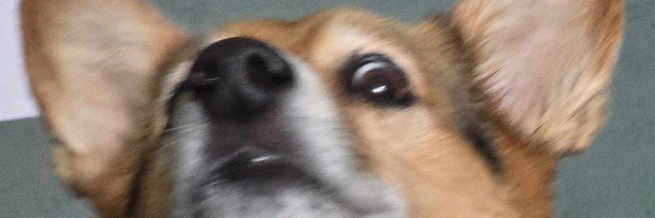 billy ray gribonius banner