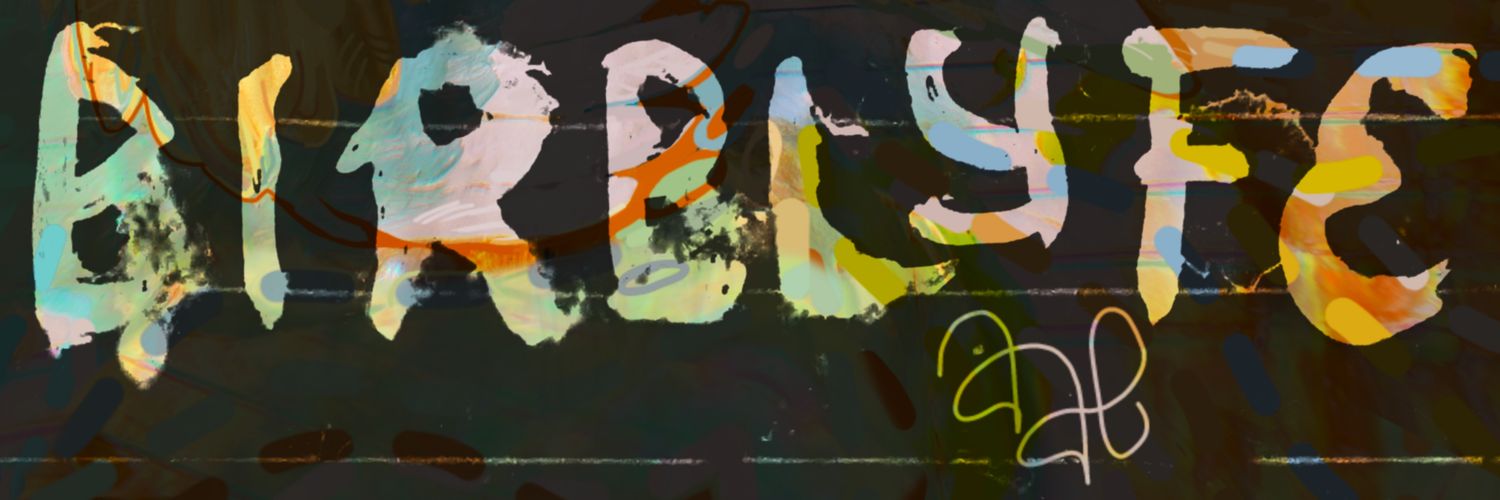 BIRBLYFE🇵🇸🇨🇩🇸🇩 banner