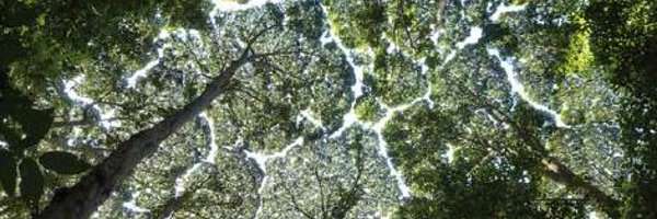 bethansmith93 Profile Banner