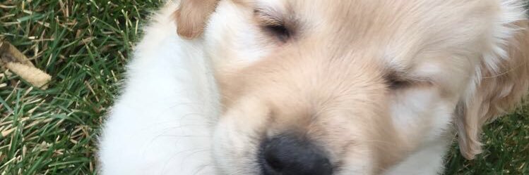 Maddsmeach's profile banner image