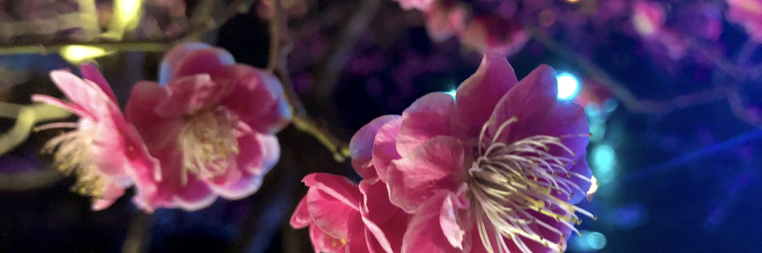 care_mitsu's profile banner image