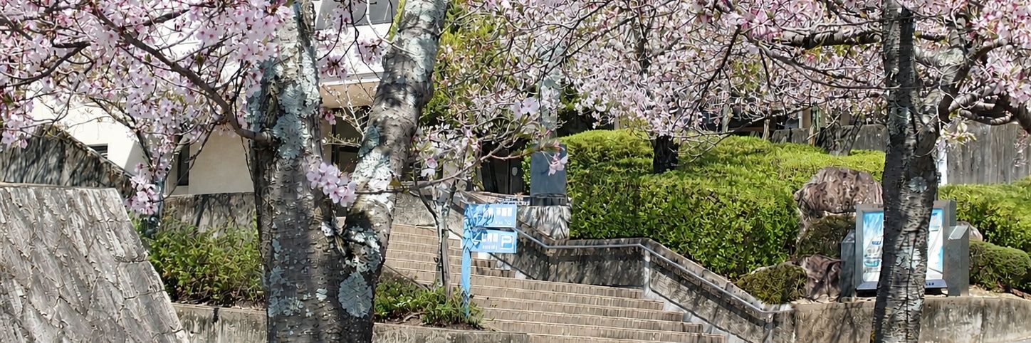 yukarihalca's profile banner image