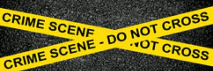 Mirjam Peters banner