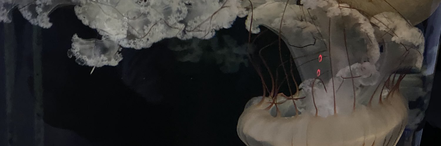_justthatguyy_'s profile banner image