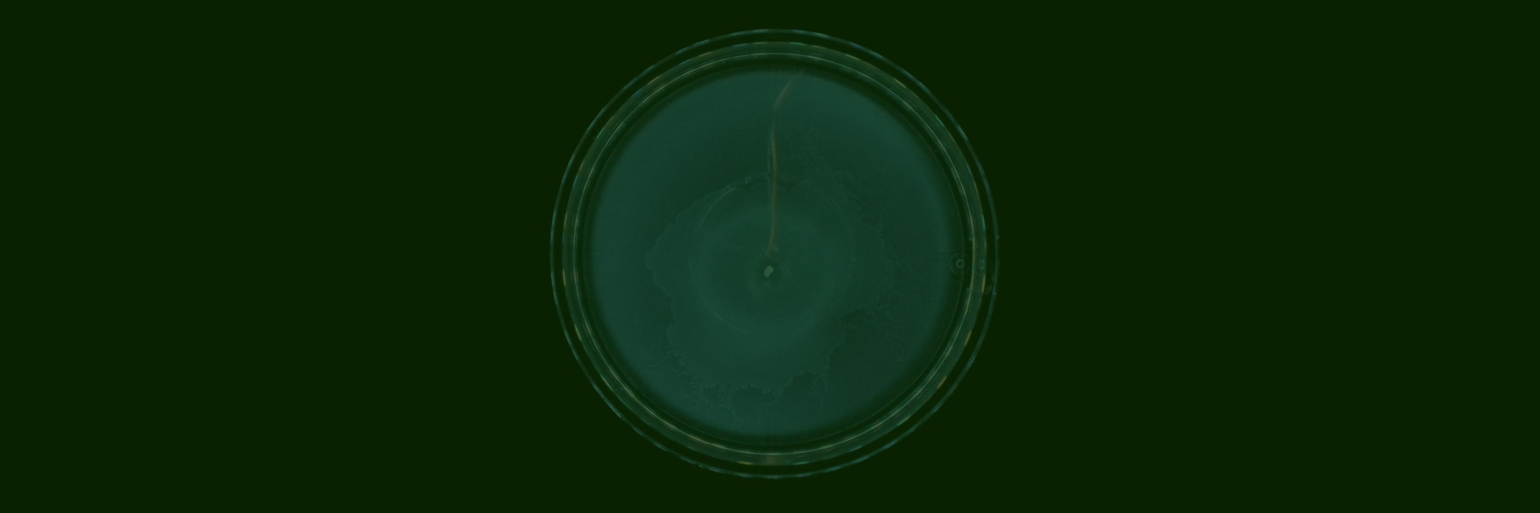 seedhealth's profile banner image