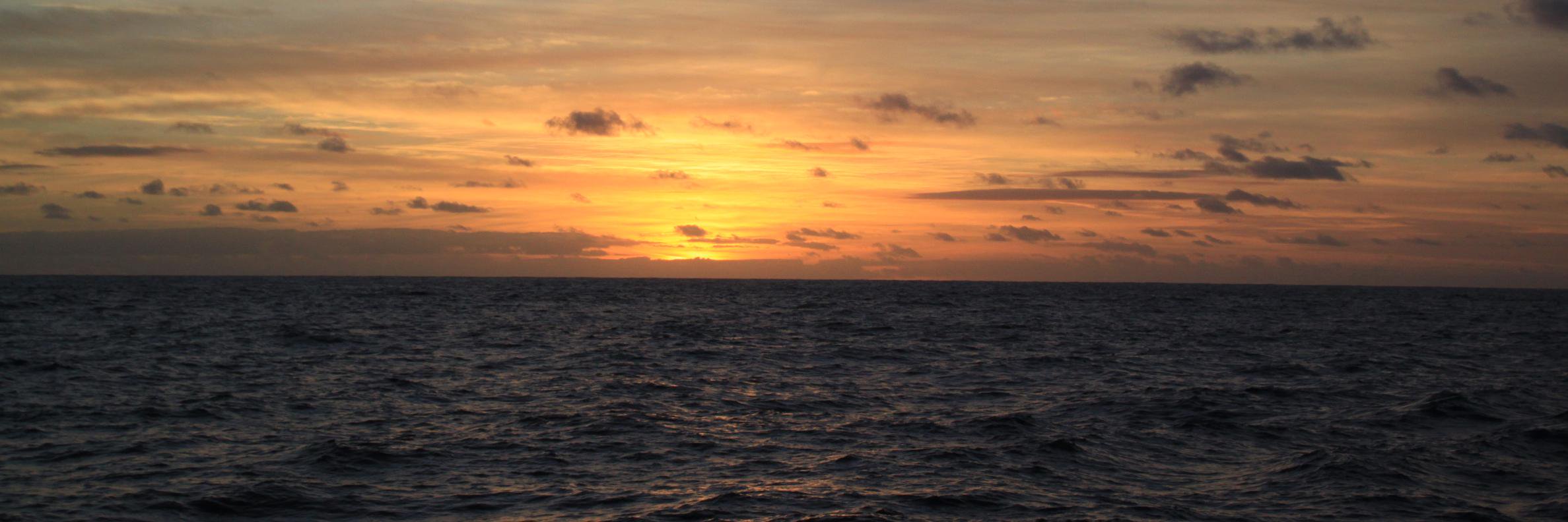 Peligrossi's profile banner image