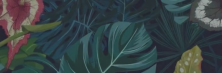 LolaMento • banner