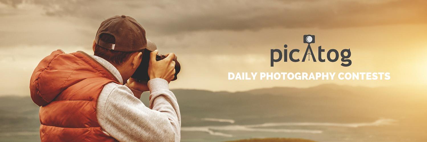 picatog's profile banner image