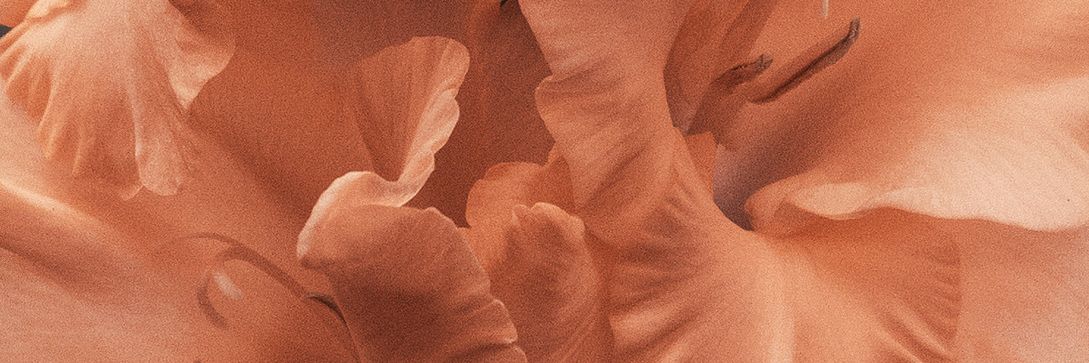 glastley's profile banner image