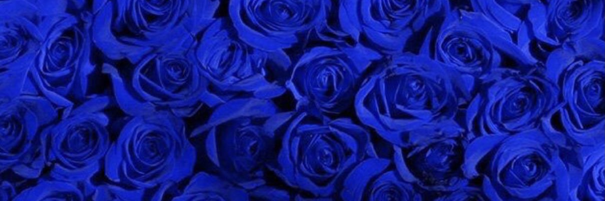 _SaloneCleo's profile banner image