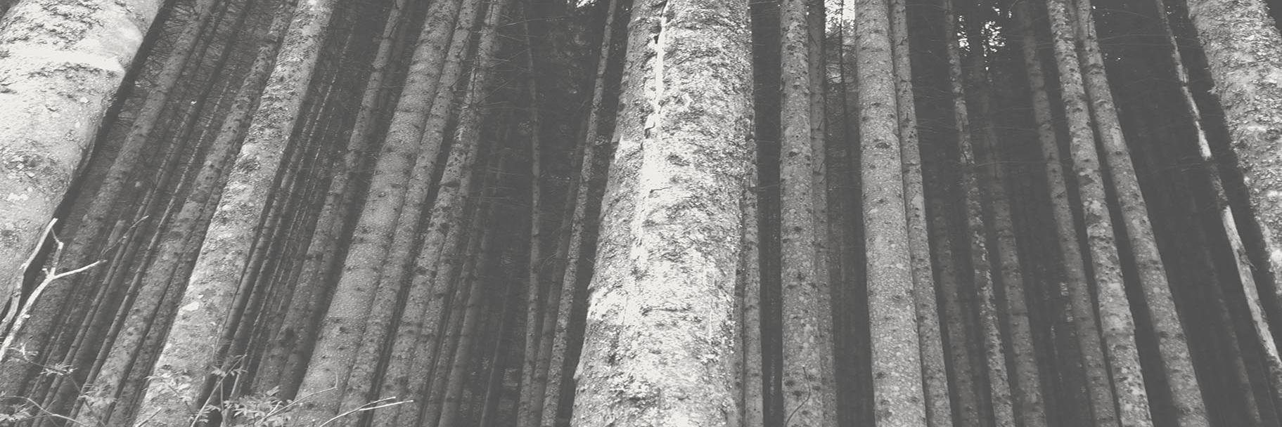 IsabelleTeran's profile banner image