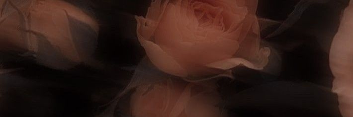 TPZ2005's profile banner image