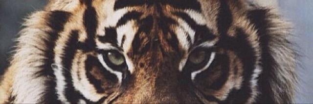 iam_kstew's profile banner image