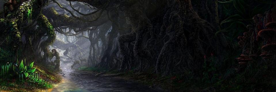 Dezibear81's profile banner image