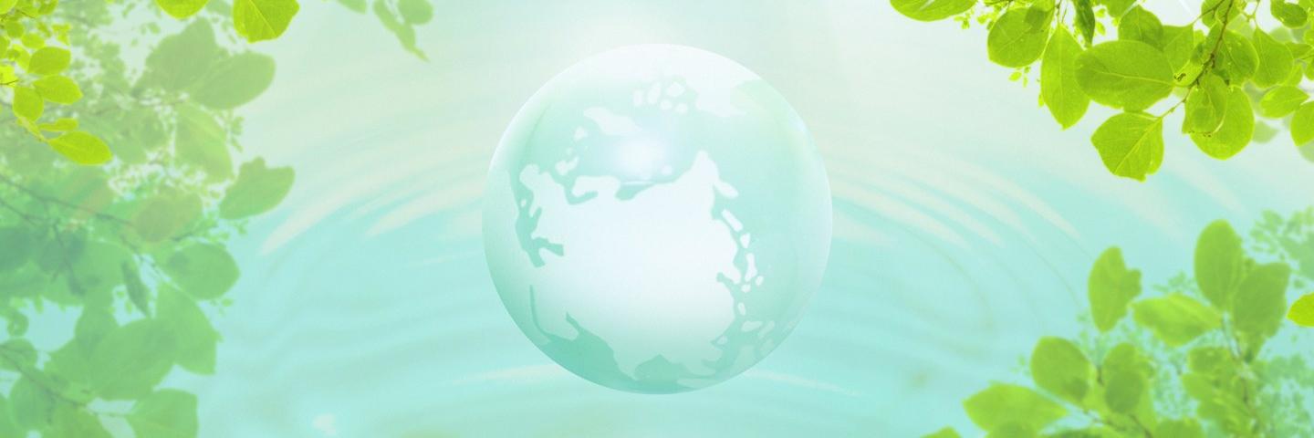 TaraDBriscoe's profile banner image
