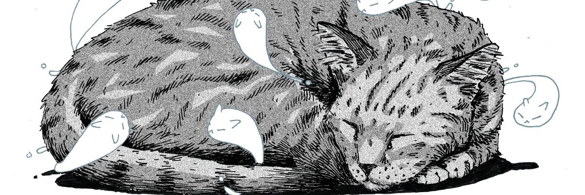DianaaR___'s profile banner image