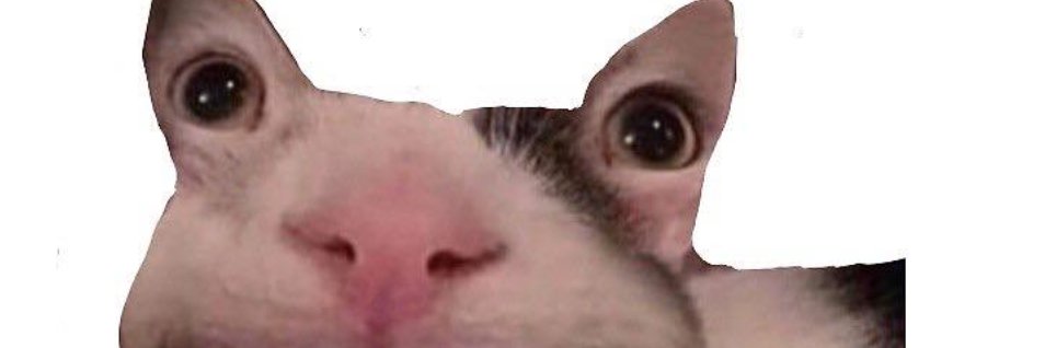 ThomSchotanus's profile banner image