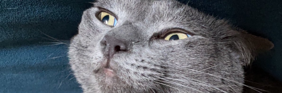 caitlyn_chy's profile banner image