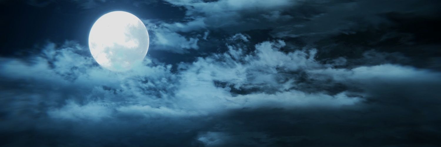 vantaeriya's profile banner image