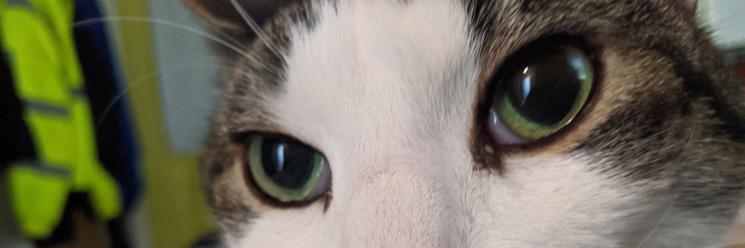 SweetyGoodness's profile banner image