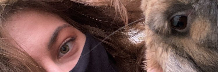 buzaelson's profile banner image