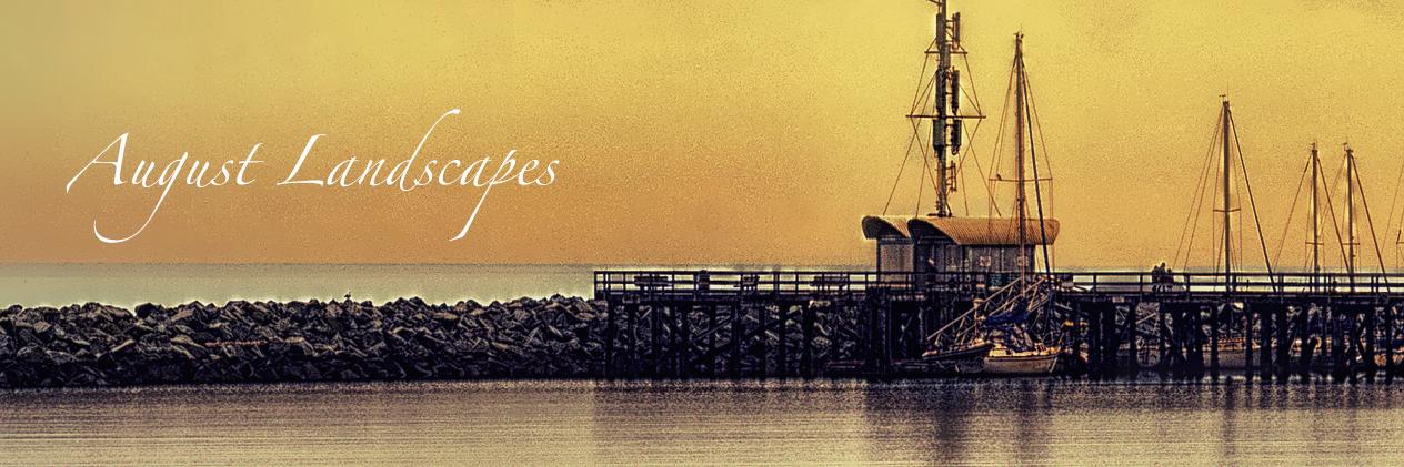 Alphonse Williams banner