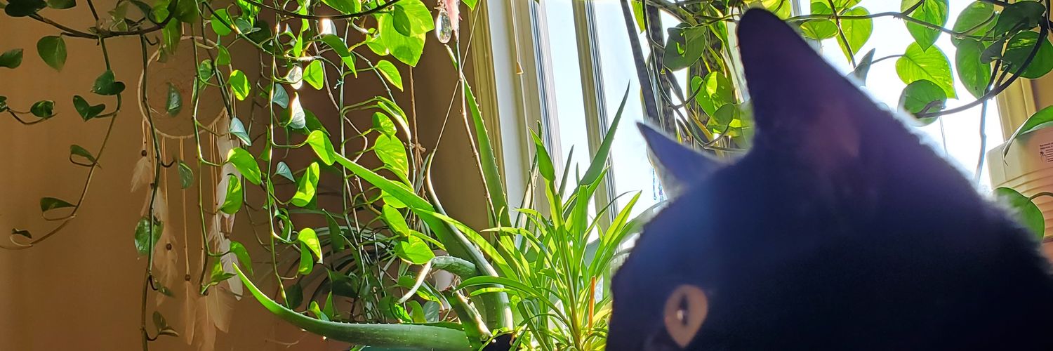 corette1983's profile banner image