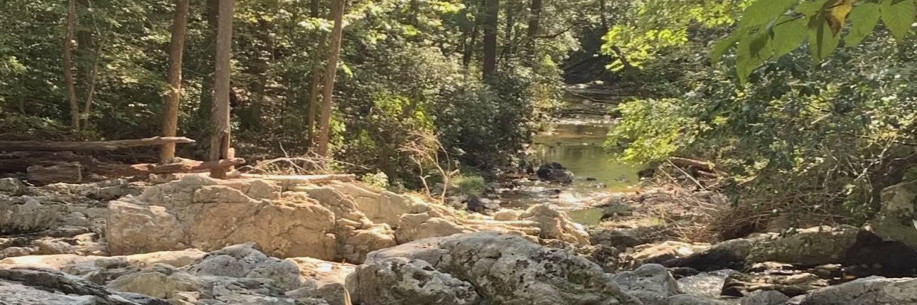 Matthew Mathison banner