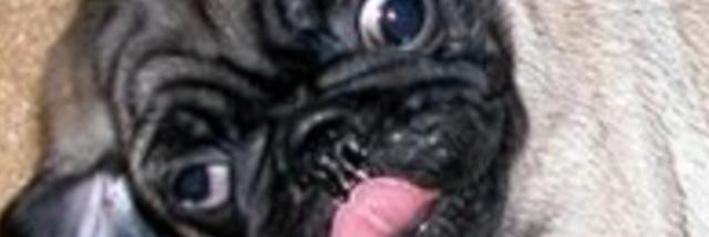 ToddJorgensen1's profile banner image