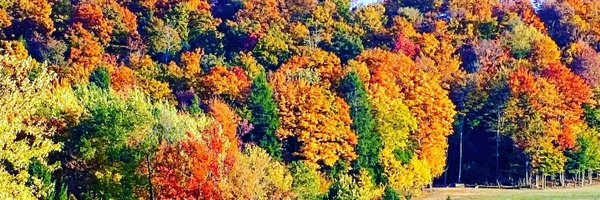 AparnaMPrabhu Profile Banner