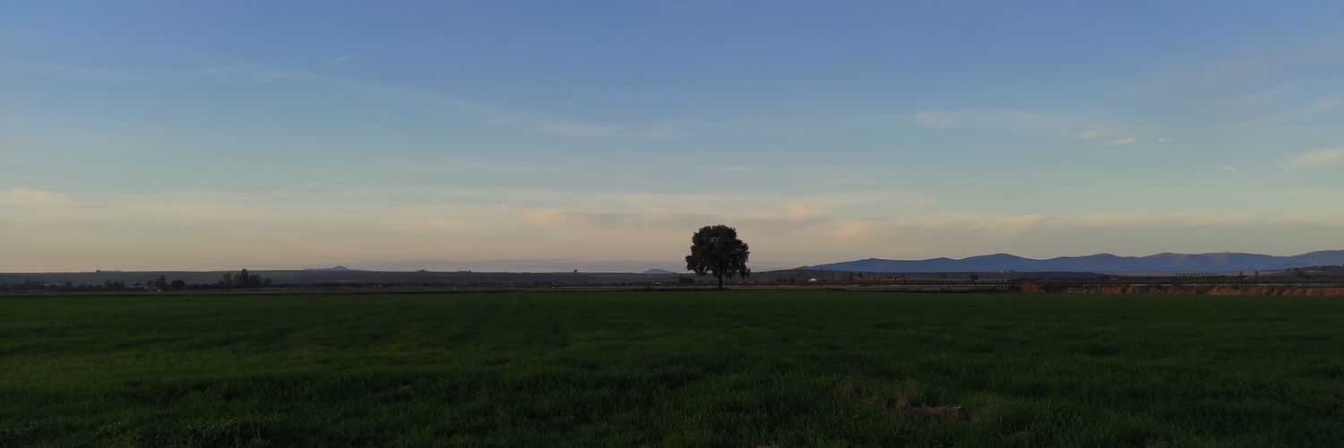 srta_blues's profile banner image