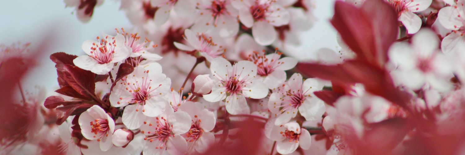 AdaptableKay's profile banner image