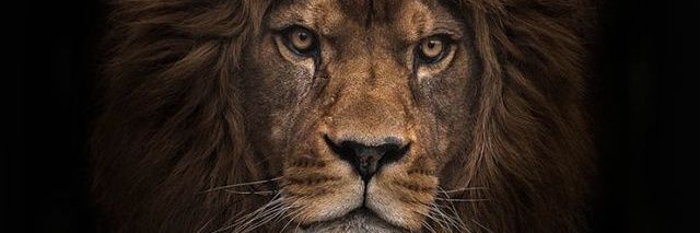 truthaltimeter's profile banner image