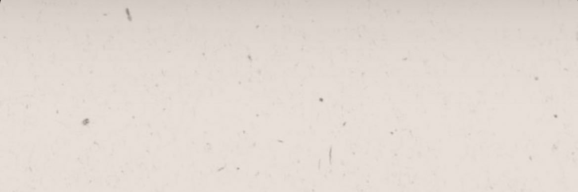 _Reem1711's profile banner image