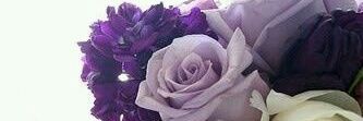 melizz3j's profile banner image