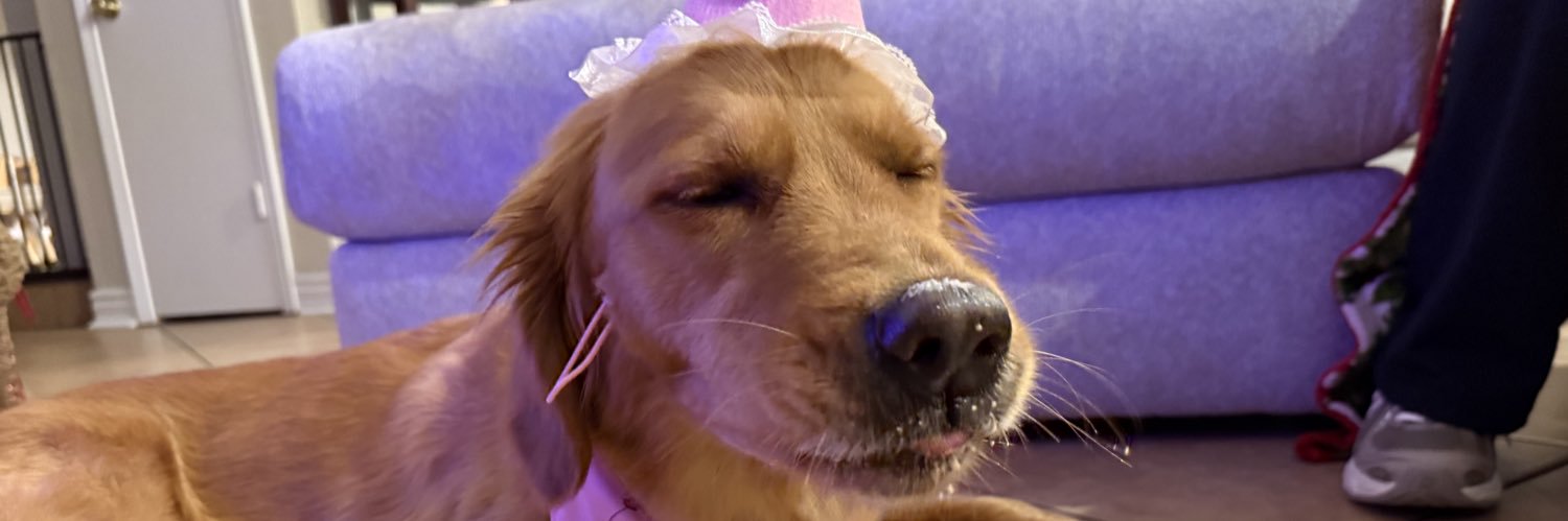 alyssasuarez19's profile banner image