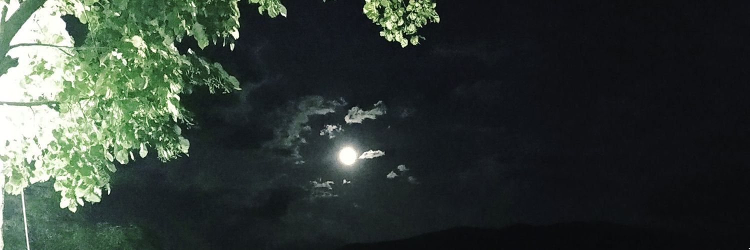 harapapn's profile banner image