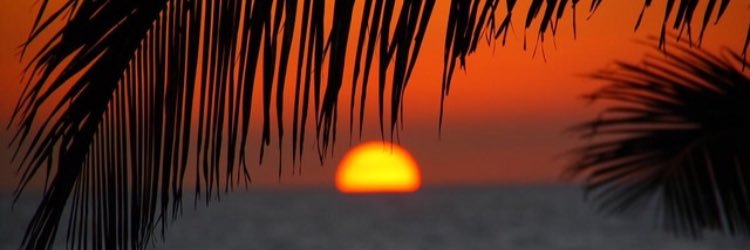 CacalRachel's profile banner image
