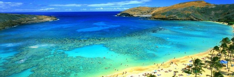 BeachScenes banner