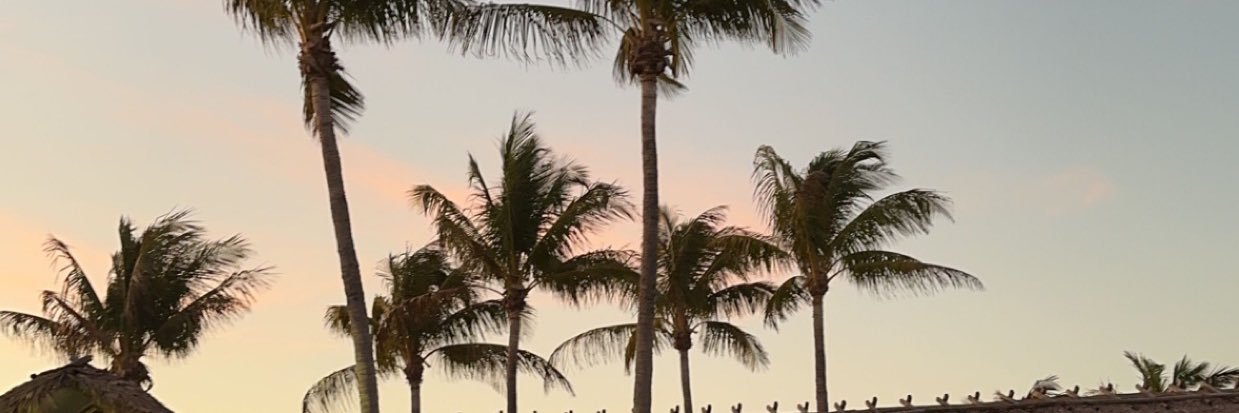 morganbrunner's profile banner image