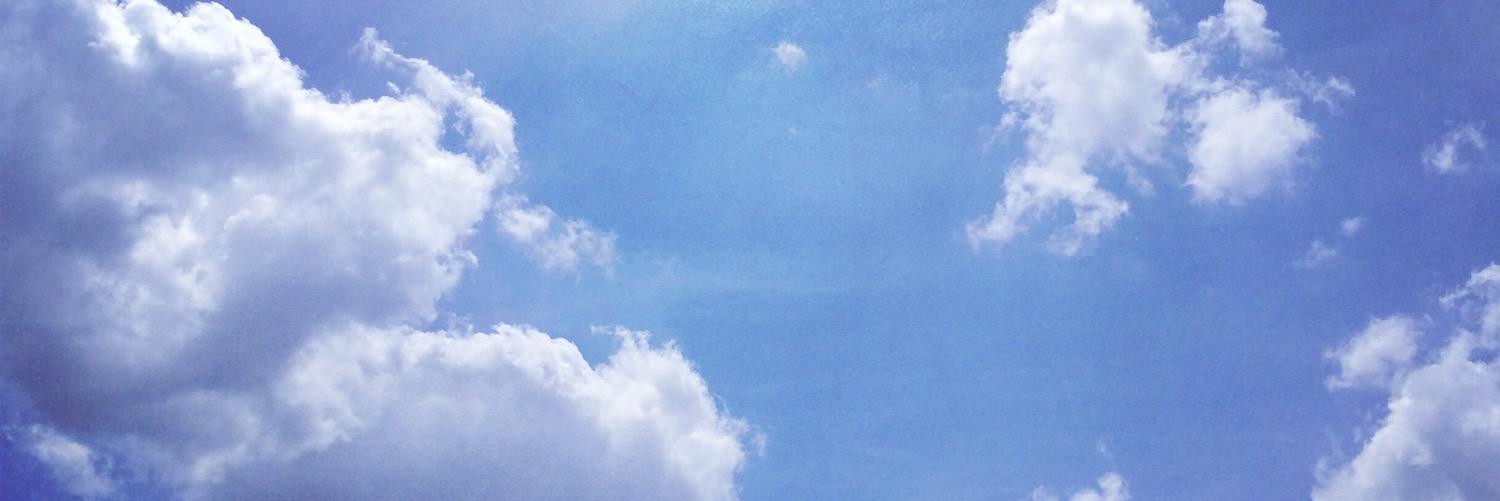 AlisonAulert's profile banner image