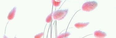 55_2620's profile banner image