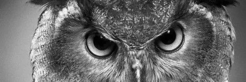 Ubaldo2703's profile banner image