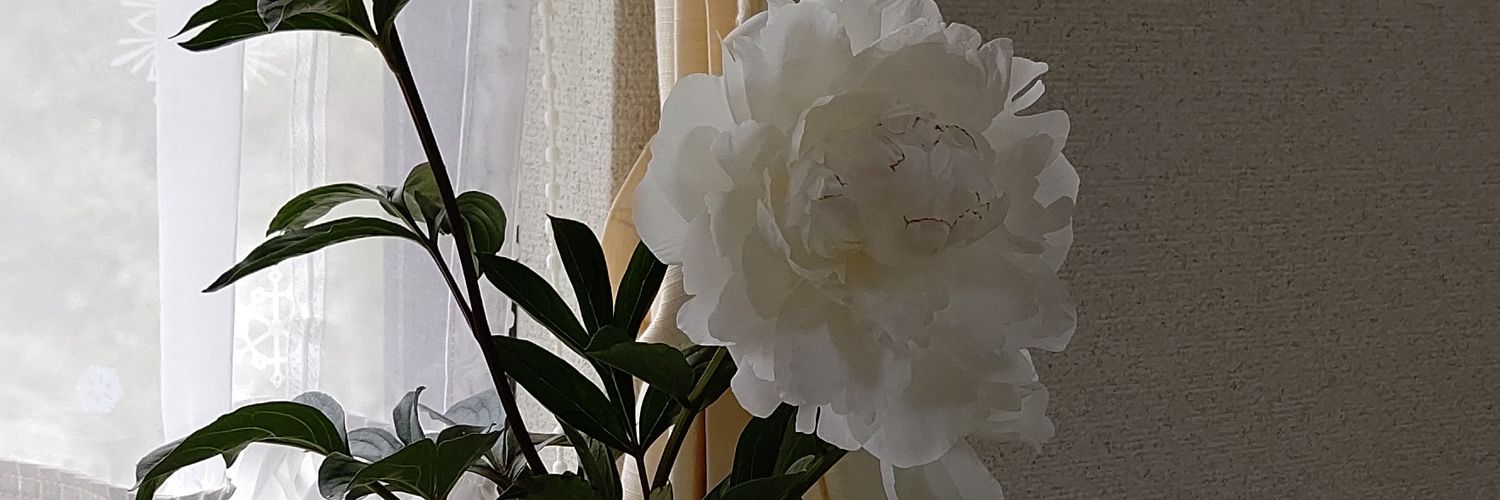roderi29's profile banner image