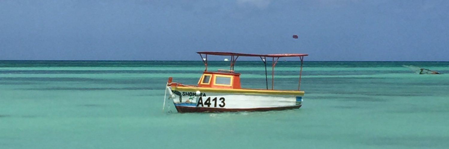 Ramona Karsner banner