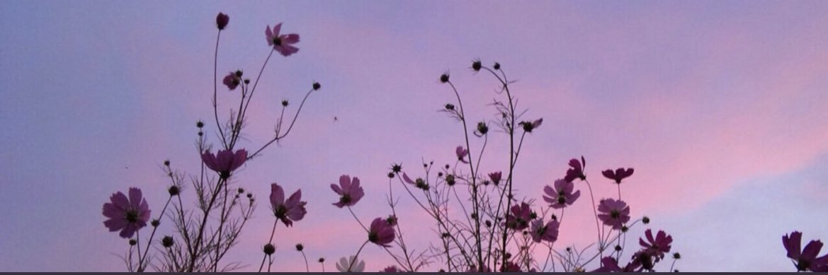 ekrolikowski24's profile banner image