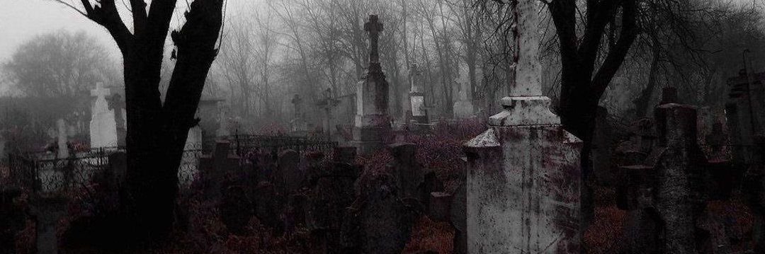 NoctisVampp's profile banner image
